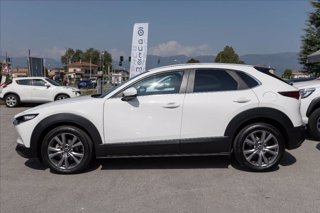 MAZDA CX-30 2.0 m-hybrid Executive 2wd 150cv 6mt
