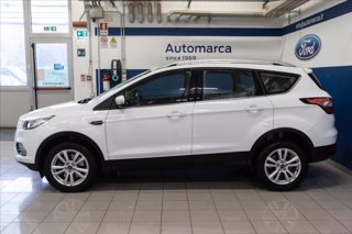 FORD Kuga 1.5 tdci Plus s&s 2wd 120cv my18
