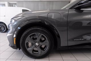 FORD Mustang Mach-e extended range rwd 294cv auto