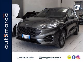 FORD Kuga 2.0 ecoblue ST-Line X awd 150cv auto