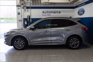 FORD Kuga 2.5 full hybrid ST-Line 2wd 190cv cvt