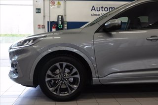 FORD Kuga 2.5 full hybrid ST-Line 2wd 190cv cvt