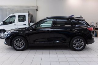 FORD Kuga 2.5 full hybrid ST-Line 2wd 190cv cvt