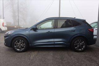 FORD Kuga 1.5 ecoboost ST-Line 2wd 150cv