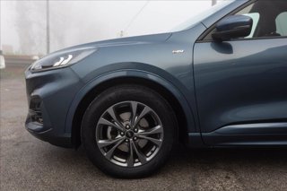 FORD Kuga 1.5 ecoboost ST-Line 2wd 150cv