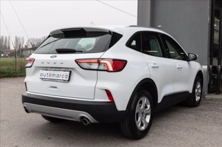 FORD Kuga 1.5 ecoboost Connect 2wd 120cv
