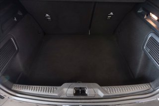 FORD Focus 1.0 ecoboost ST-Line Co-pilot s&s 125cv auto