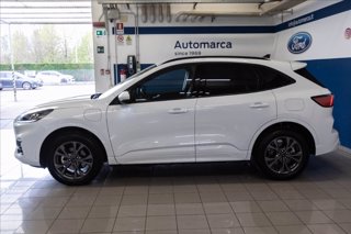 FORD Kuga 2.5 phev ST-Line 2wd 225cv cvt