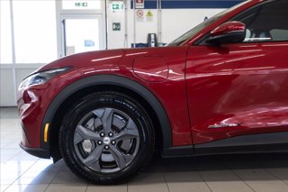 FORD Mustang Mach-e extended range rwd 294cv auto