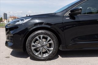 FORD Kuga 2.5 full hybrid ST-Line X 2wd 190cv cvt