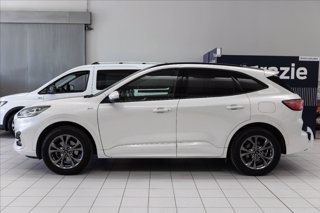 FORD Kuga 2.5 full hybrid ST-Line X awd 190cv cvt