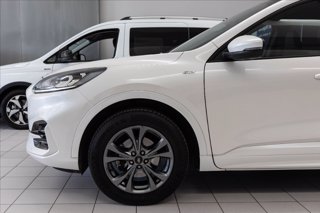 FORD Kuga 2.5 full hybrid ST-Line X awd 190cv cvt