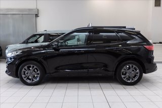 FORD Kuga 2.5 full hybrid ST-Line 2wd 190cv cvt