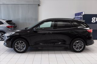 FORD Kuga 2.5 phev ST-Line 2wd 225cv cvt