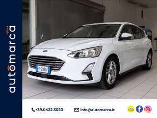 FORD Focus 5p 1.0 ecoboost Titanium Business s&s 125cv