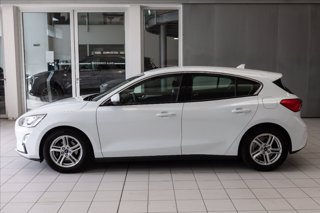 FORD Focus 5p 1.0 ecoboost Titanium Business s&s 125cv