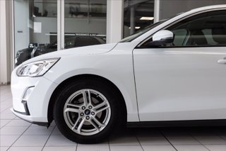 FORD Focus 5p 1.0 ecoboost Titanium Business s&s 125cv
