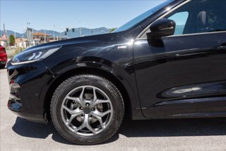 FORD Kuga 1.5 ecoboost ST-Line 2wd 150cv