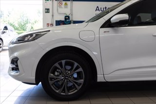 FORD Kuga 2.5 phev ST-Line 2wd 225cv cvt