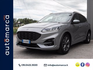FORD Kuga 1.5 ecoblue ST-Line 2wd 120cv