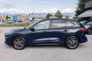 FORD Kuga 2.5 full hybrid ST-Line 2wd 190cv cvt