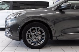 FORD Kuga 2.5 full hybrid ST-Line 2wd 190cv cvt