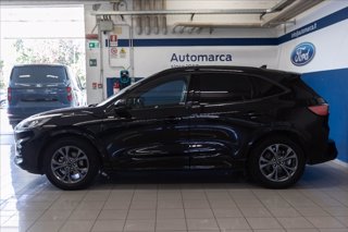 FORD Kuga 2.5 full hybrid ST-Line 2wd 190cv cvt