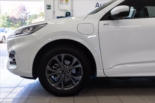 FORD Kuga 2.5 phev ST-Line 2wd 225cv cvt
